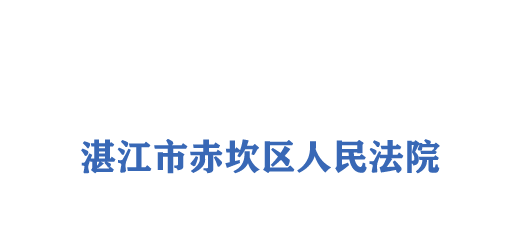 湛江市赤坎区人民法院门户网站